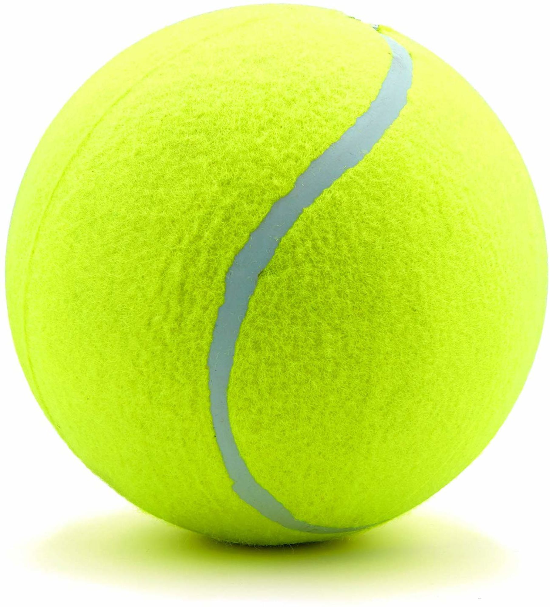 Waloo9.5 Jumbo Inch Tennis Ball for Pets Includes Hand Pump Jane